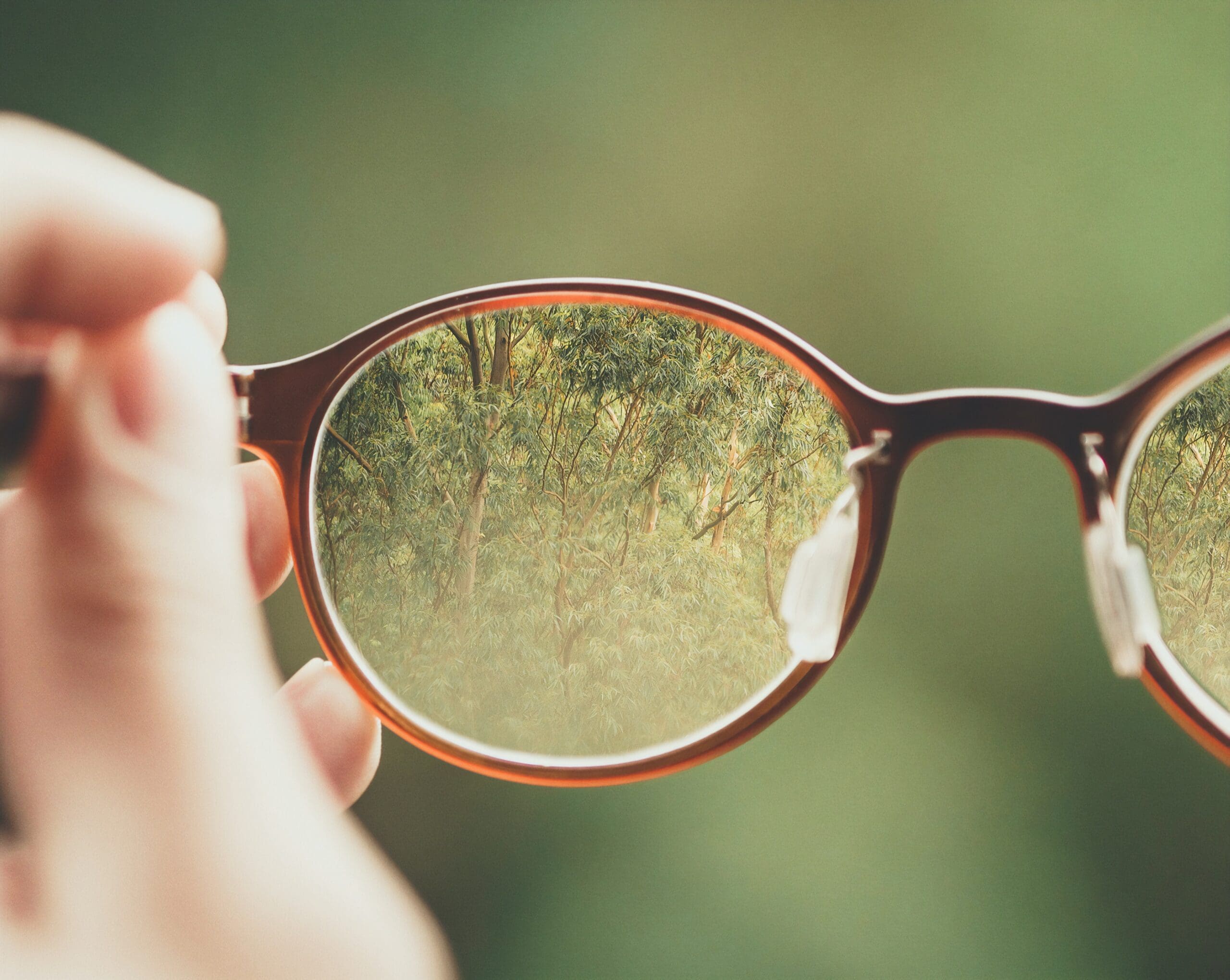 Glasses with a fuzzy green background, but through the glasses lenses detail can be seen